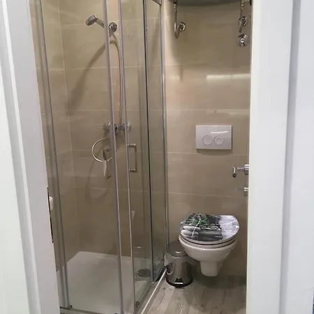 Studio Apartment Sisi Opatija Exteriör bild