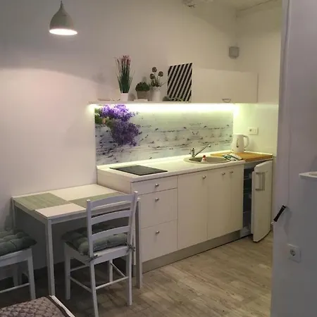 Studio Apartment Sisi Opatija Exteriör bild